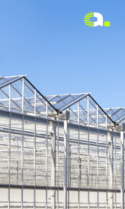 praca holandia zbieranie papryki