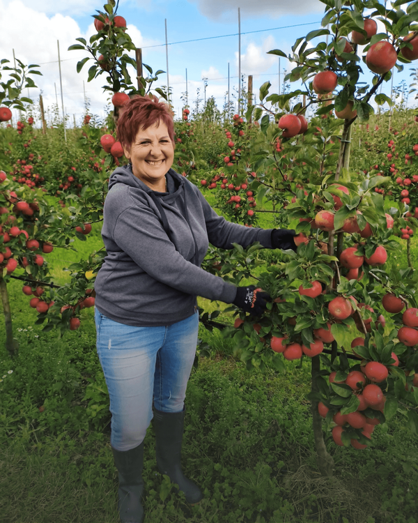 10 jaar werken bij de fruitoogst